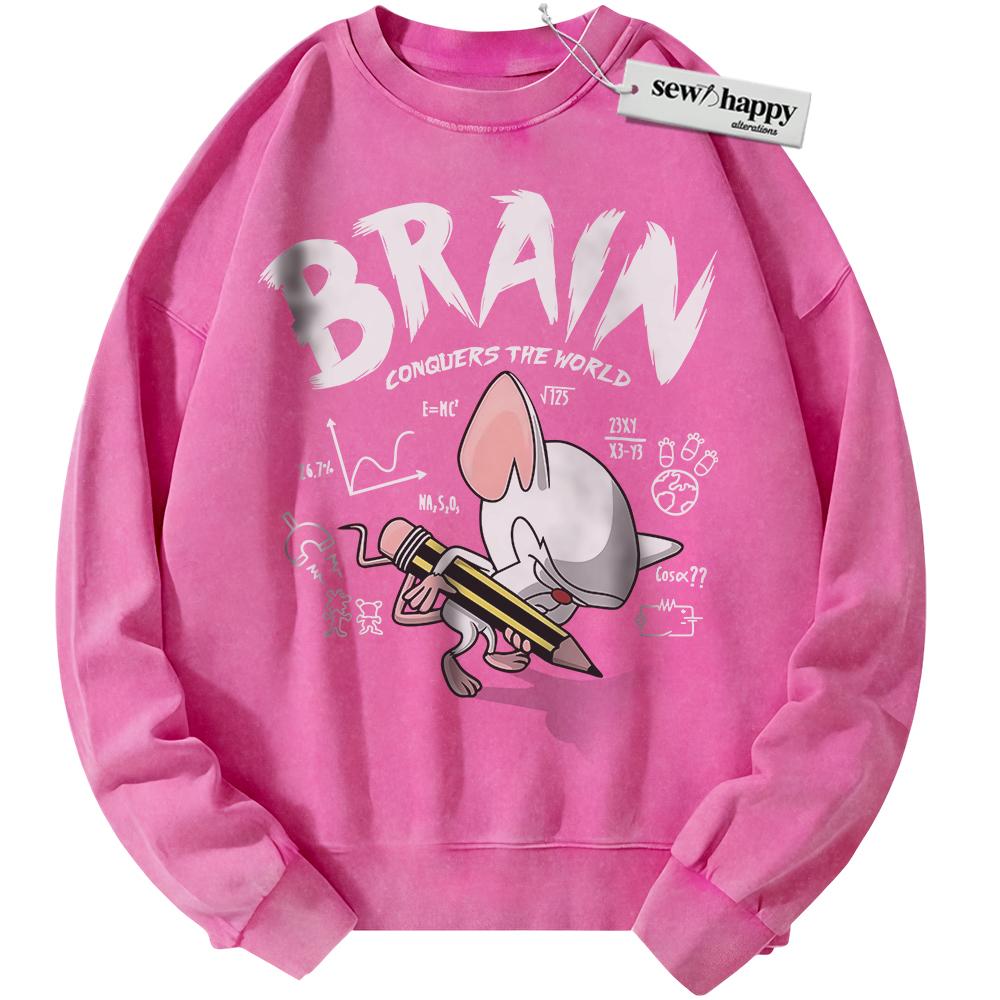 Wash Sweatshirt Pinky and the Brain Sweatshirt, Animated Sweatshirt, Vintage Sweater